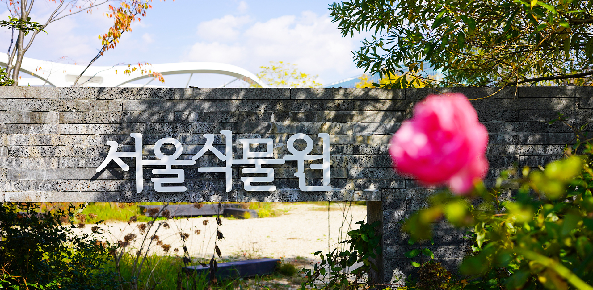 서울식물원 가을01