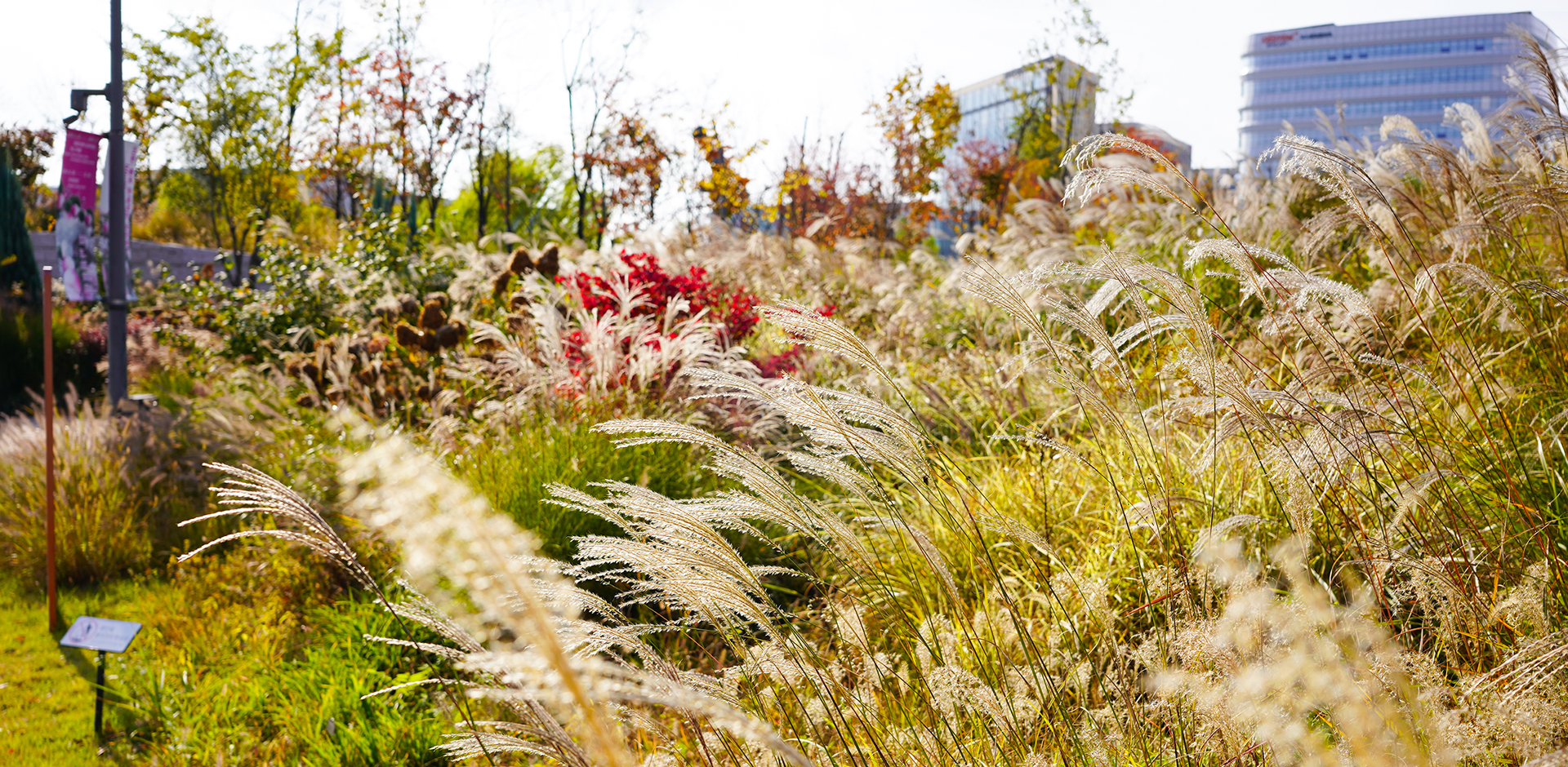 서울식물원 가을02