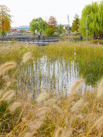 서울식물원 가을03