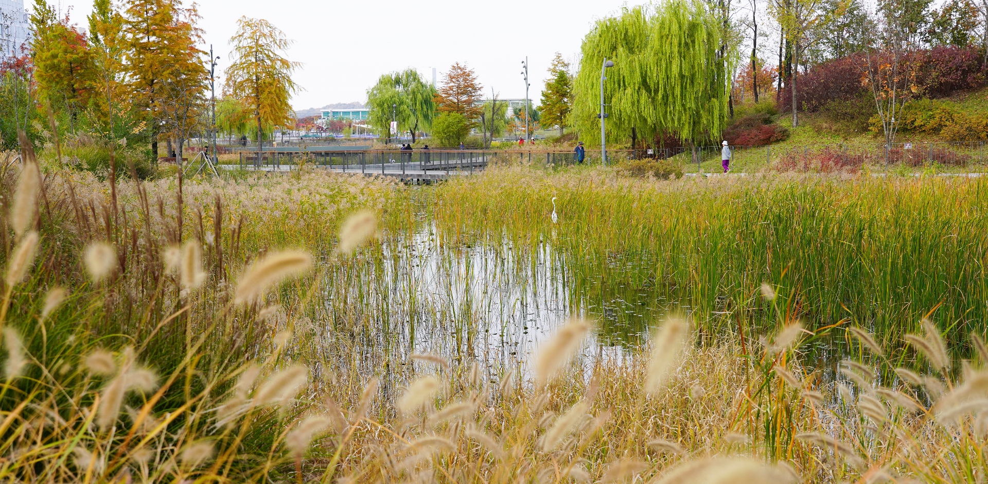 서울식물원 가을03