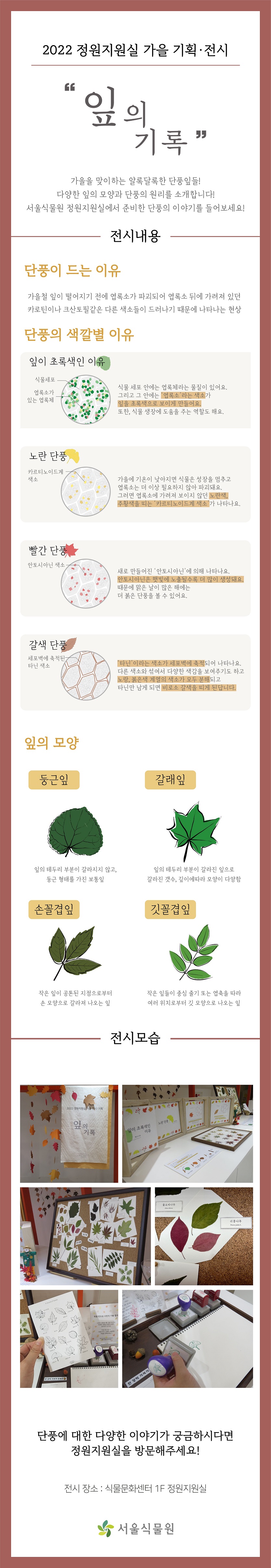 2022년 가을기획전시 잎의기록